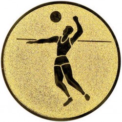 Emblém LTK021 | Volejbal