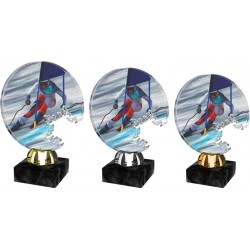 Akrylátová trofej ACTS0006M2 | Sjezdové lyžování