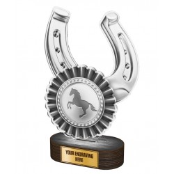 Akrylátová trofej TLR2023271 | Jezdectví