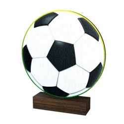 Dřevěná plaketa WF254 | Fotbal