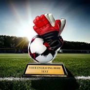 Akrylátová trofej FA200M2 | Fotbal