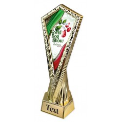 Sportovní trofej WDS2026 - AY 2