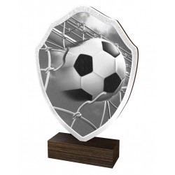Dřevěná plaketa TFRW310 | Fotbal