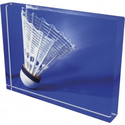 Skleněná trofej CR4044M18 | Badminton