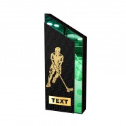 Dřevěná trofej WM001M27 | Florbal