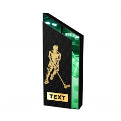 Dřevěná trofej WM001M27 | Florbal