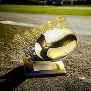 Akrylátová trofej AWF M67 | Volejbal