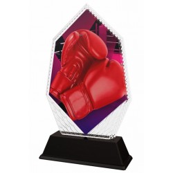 Akrylátová trofej PYR001M42 | Bojová umění