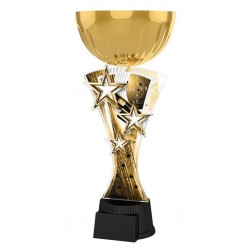 Akrylátová trofej ASTARNCUPMINIM06 | Střelba