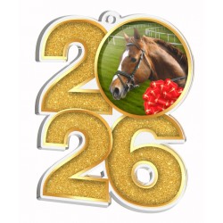 Akrylátová medaile MDA2026M31 | Jezdectví