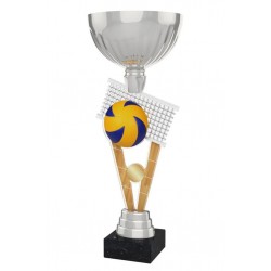 Akrylátová trofej ACUPSILVM19 | Volejbal