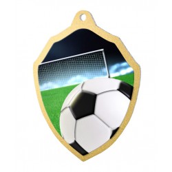 Kovová medaile MDM02M01 | Fotbal