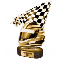 Akrylátová trofej TLR2023225 | Motorsport