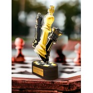 Akrylátová trofej TLR2023285 | Šachy
