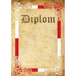 Diplom DP0042