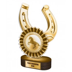 Akrylátová trofej TLR2023270 | Jezdectví
