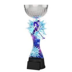 Akrylátová trofej ACUPCSMINIM70 | Hokej