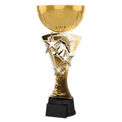 Akrylátová trofej ASTARNCUPMINIM15 | Bojová umění