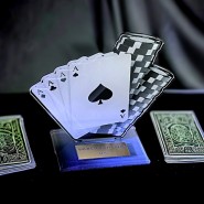 Akrylátová trofej AWF M41 | Karty