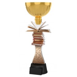 Akrylátová trofej ACUPCGM98 | Studium