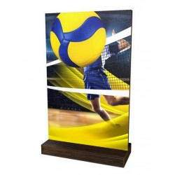 Dřevěná plaketa WPLA01M15 | Volejbal