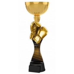 Akrylátová trofej ACUPCGNM13 | Bojová umění