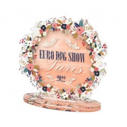 Akrylátová trofej EDS22CLICK02
