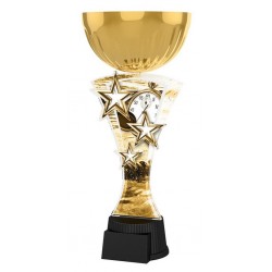 Akrylátová trofej ASTARNCUPMINIM07 | Plavání