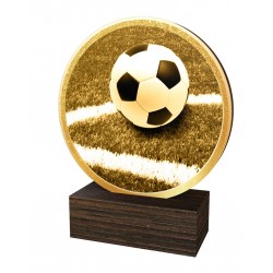 Dřevěná plaketa TFRW813 | Fotbal