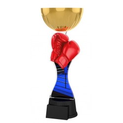 Akrylátová trofej ACUPCGMINIM35 | Bojová umění