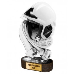 Akrylátová trofej TLR2023238 | Hasiči