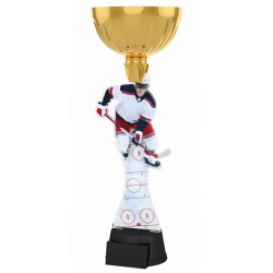 Akrylátová trofej ACUPCGM11 | Hokej