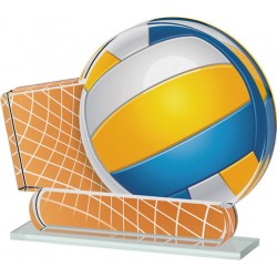 Akrylátová trofej ACTS0200M21 | Volejbal