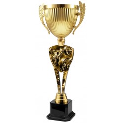 Trofej ACUPMR2026M11 | Vzpírání