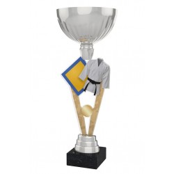 Akrylátová trofej ACUPSILVM15 | Bojová umění