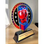 Kovová trofej SAM03M14 | Bojová umění
