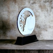 Akrylátová trofej CBCUF001M16 | Bojová umění