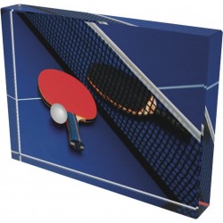 Skleněná trofej CR4044M17 | Stolní tenis