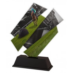 Akrylátová trofej ACZC001M29 | Jezdectví