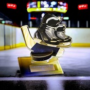 Akrylátová trofej AWF M60 | Hokej