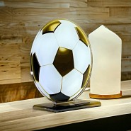 Akrylátová trofej AWF M48 | Fotbal