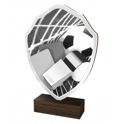 Dřevěná plaketa TFRW322 | Fotbal