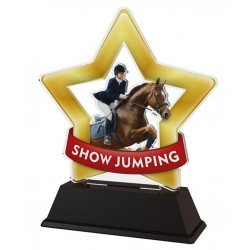 Akrylátová trofej STAR001M33 | Jezdectví
