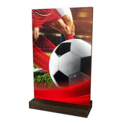Dřevěná plaketa WPLA01M01 | Fotbal