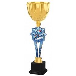 Trofej ACUPW2025M09 | Skoky na lyžích