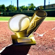 Akrylátová trofej AWF M21 | T-Ball