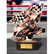 Akrylátová trofej TLR2023302 | Motorsport