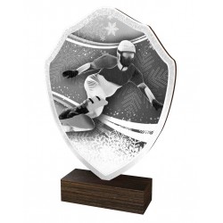 Dřevěná plaketa TFRW287 | Snowboard