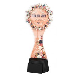 Akrylátová trofej EDS22ACUTC02