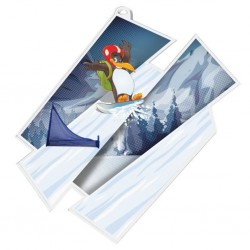 Akrylátová medaile MDAZ0011M58 | Snowboard